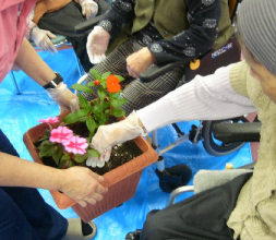 花植え