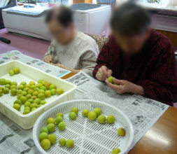 梅酒作り